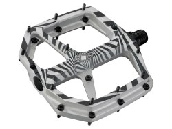 TRAIL_ROC+_SIGNATURE_THOMAS_GENON-C4